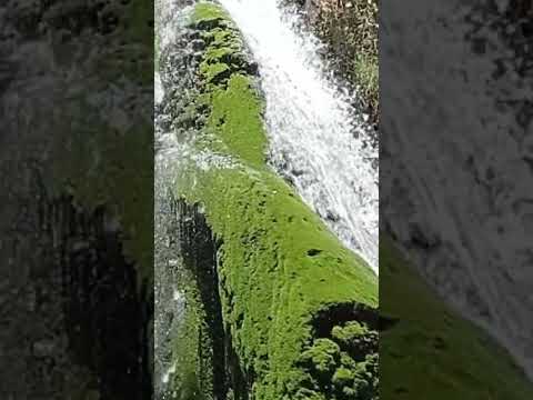 الحاجه في مدينه صفرو طلال الشلال