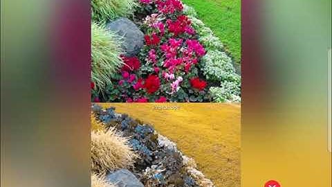 WHAT COLOR BLINDNESS LOOKS LIKE - Protanopia Simulation