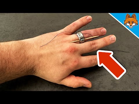 DIESER Trick erobert