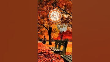 🕌 surah nisa👰🌹 || سورة النساء ||🌹🌹 #viral #quranictranslation #quran #surhmulk #surah #الله