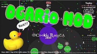 youtube ogario access any すべて 検索結果動画一覧