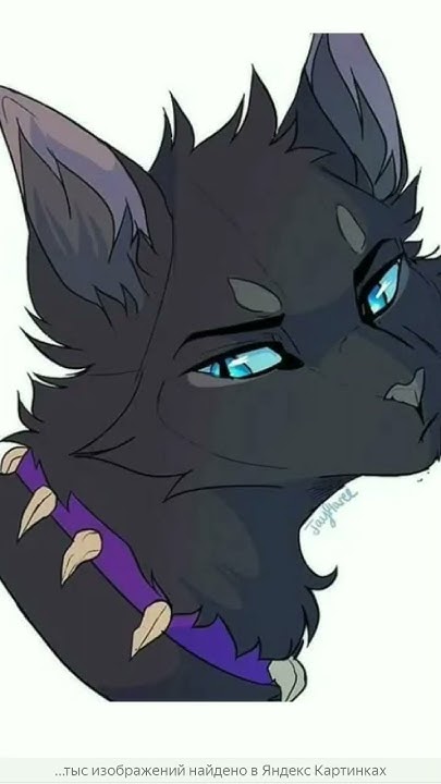 #котывоители - YouTube