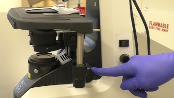 Overview of Nikon ECLIPSE E200 Microscope