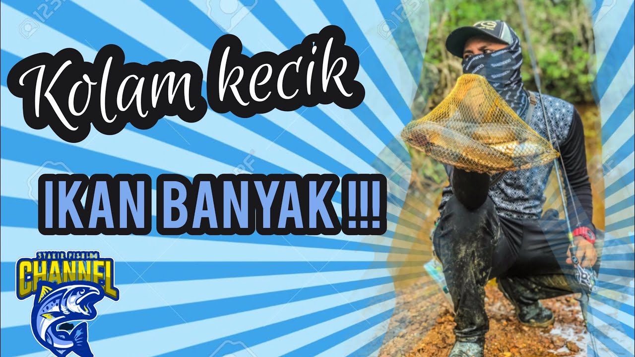 TEMPAT KECIK BANYAK HARUAN !! - YouTube