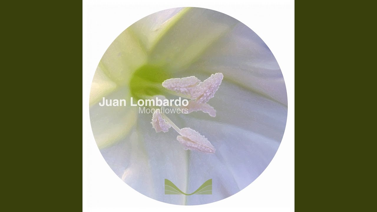 Ver Streets no YouTube Ver Streets no YouTube