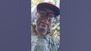 Simple Way to Load a Deer By Yourself- 👀 the end