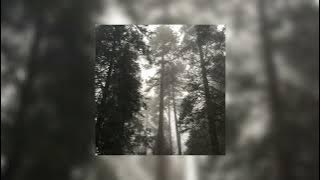 Bon Iver - Roslyn (remake instrumental)