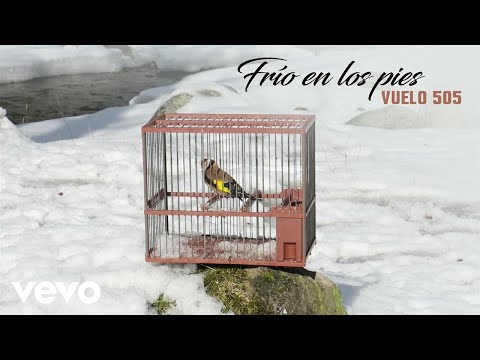Vuelo 505 - Frío en los Pies ft. Kolibrí Díaz, Alén Ayerdi, Jose Javier Pintor