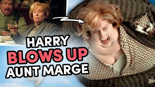 Harry Potter Gets Revenge On Aunt Marge | Prisoner of Azkaban by Harry Potter 309,945 views 9 days ago 8 minutes, 17 seconds