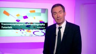 EACVI TOE Tutorials - 02 - How to assess a patient during a MitraClip procedure?