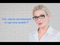 Что такое мотивация и где она живет? Марафон 25-30 марта!