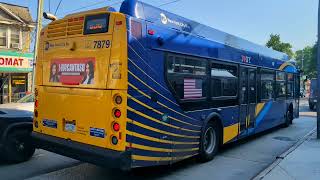 NYCT Bus: New Flyer XD40s on the Q58 Local & LIMITED @ Corona Avenue & National Street