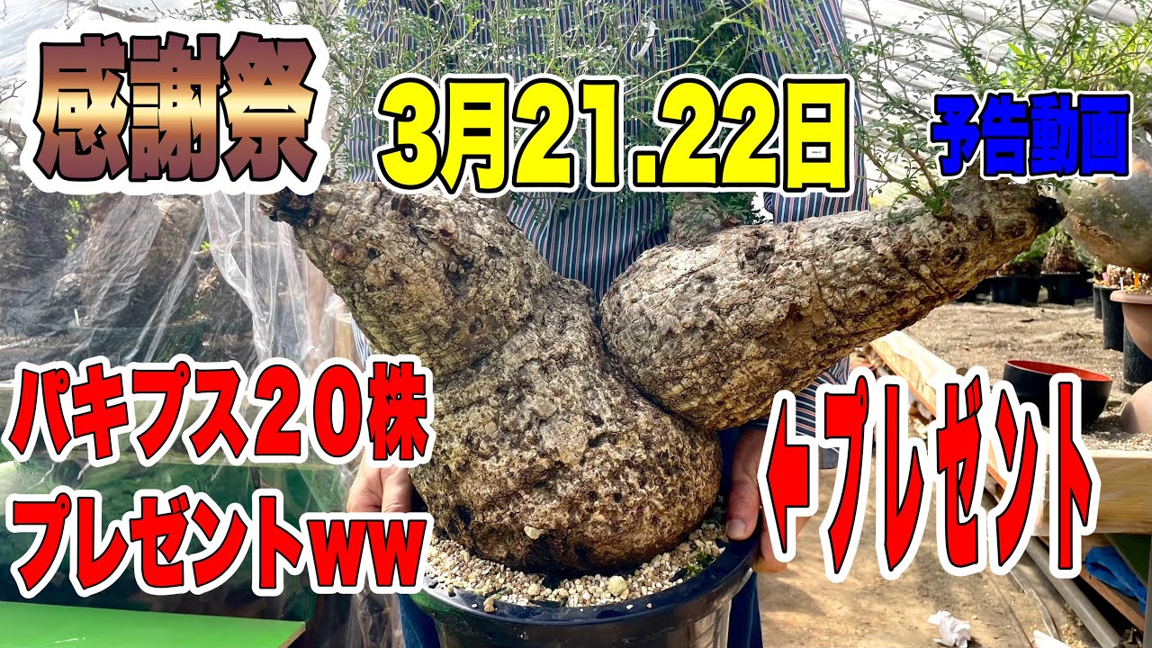 3月21日.22日 感謝祭 予告動画 - YouTube
