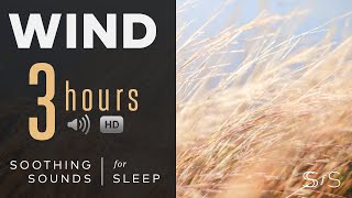 Soothing wind blowing for 3 hours by Soothing Sounds for Sleep 100 views 3 years ago 3 hours, 1 minute