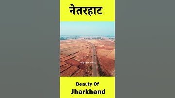 Netarhat : Beauty Of Jharkhand#shorts #netarhat #netarhatjharkhand #beauty #shortsvideo #ytshorts
