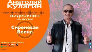 Анатолий Кулагин - Сиреневая Весна