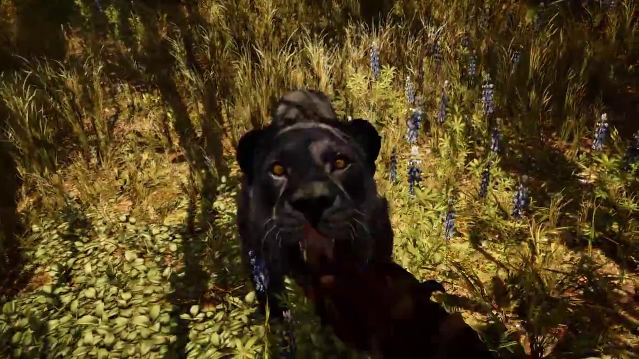 Far Cry: Primal - Black Panther / Rare Black Lion