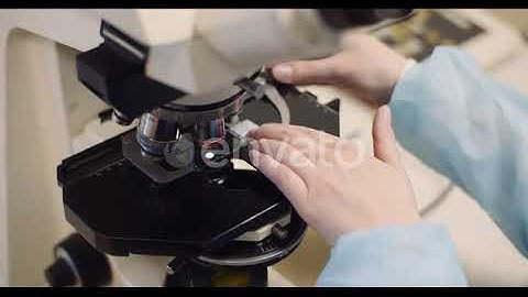 Scientist Examining Bacteria Under Microscope at Laboratory | Stock Footage - Envato elements