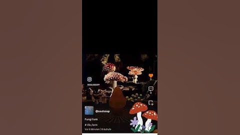 Fungi Funk: Exploring a Trippy 3D World of Mushroom Art in Soulside Metaverse