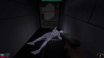 Ghost Suicide on Engineering Deck, System Shock 2