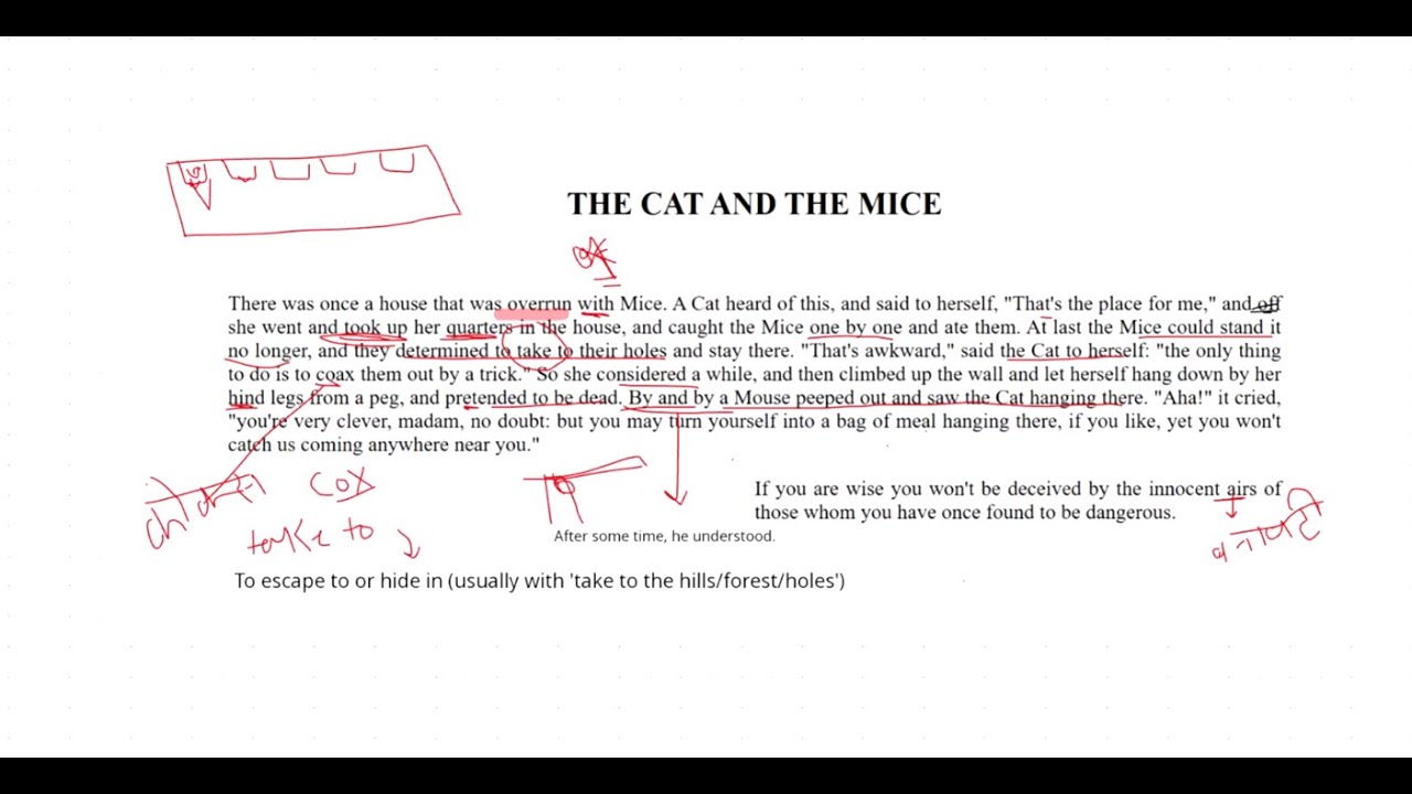 THE CAT AND THE MICE | Story Time | Learn english through Stories - YouTube