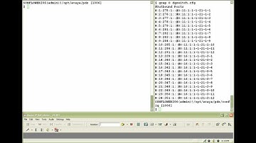 How to Use the Swit Utility to make test calls through ISDN lines in Avaya Proactive Contact