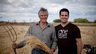 Vegan Organic Ancient Grains | Pierce Family Farm