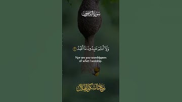 Surah Al-kafirun سورة الكافرون || Abdishakur Al Hilaal