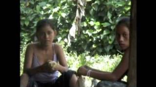 sexan, los cucarayos
