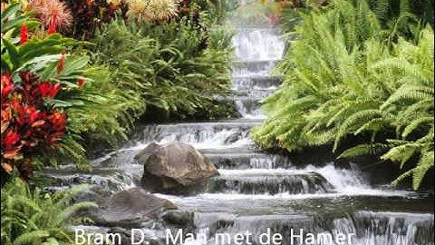 Bram D.- Man met de Hamer ( original)