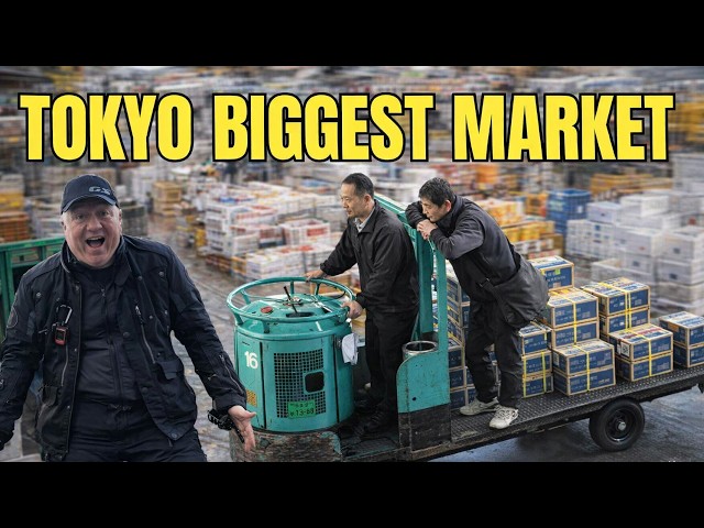 EXPLORING OTA MARKET - JAPAN'S GIANT WHOLESALE WORLD - YouTube
