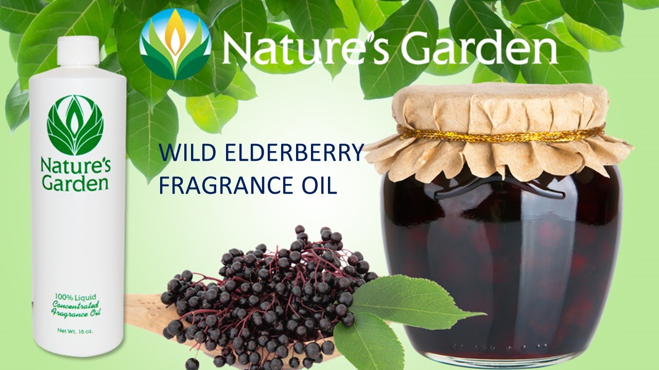 Wild Elderberry Fragrance Oil Natures Garden YouTube