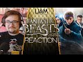 Fantastic Beasts and Where to Find Them Reaction