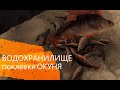 Зимняя РЫБАЛКА на водохранилище Поклевки окуня на мормышку