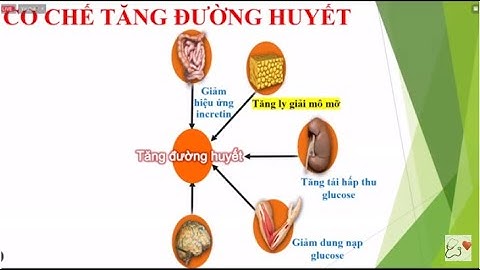 Cập nhật kỹ năng kiến thức ngành Dược