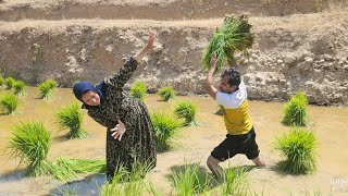 Ali and Batool; A Journey from the River to the Rice Fields of the North
