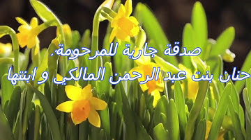 سورة نوح بصوت القارئ فارس عباد 071