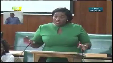 Senator Kerrensia Morrison gives sounding warning ...