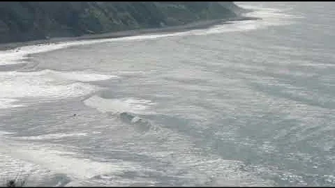 The Tribes Of Palos Verdes - Cody Fern and Maika Monroe