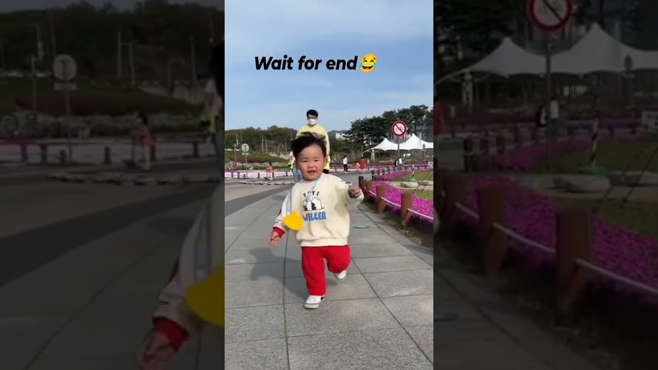 Ohh dear where are the petals