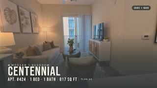 817 Sq. ft. 1-Bedroom Apartment Tour ยท A3 ยท Apt 424