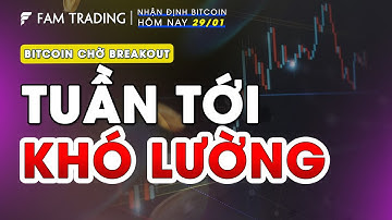 Giá Bitcoin hôm nay và thị trường Crypto ngày 29/1/2023 | FAM TRADING