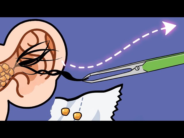 ASMR Photoshop Ear Cleaning🎨 But It Moves?! (NO TALKING)