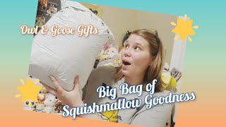 Squish Mail | Squishmallows from Owl & Goose Gifts