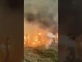indian army dipawali #indianarmy indiaarmystatus #shortsfeed#shortsviral#shorts #shortvideo#ytshorts