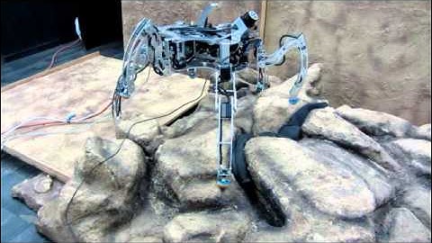 Precise self-localization of a walking robot on rough terrain using PTAM