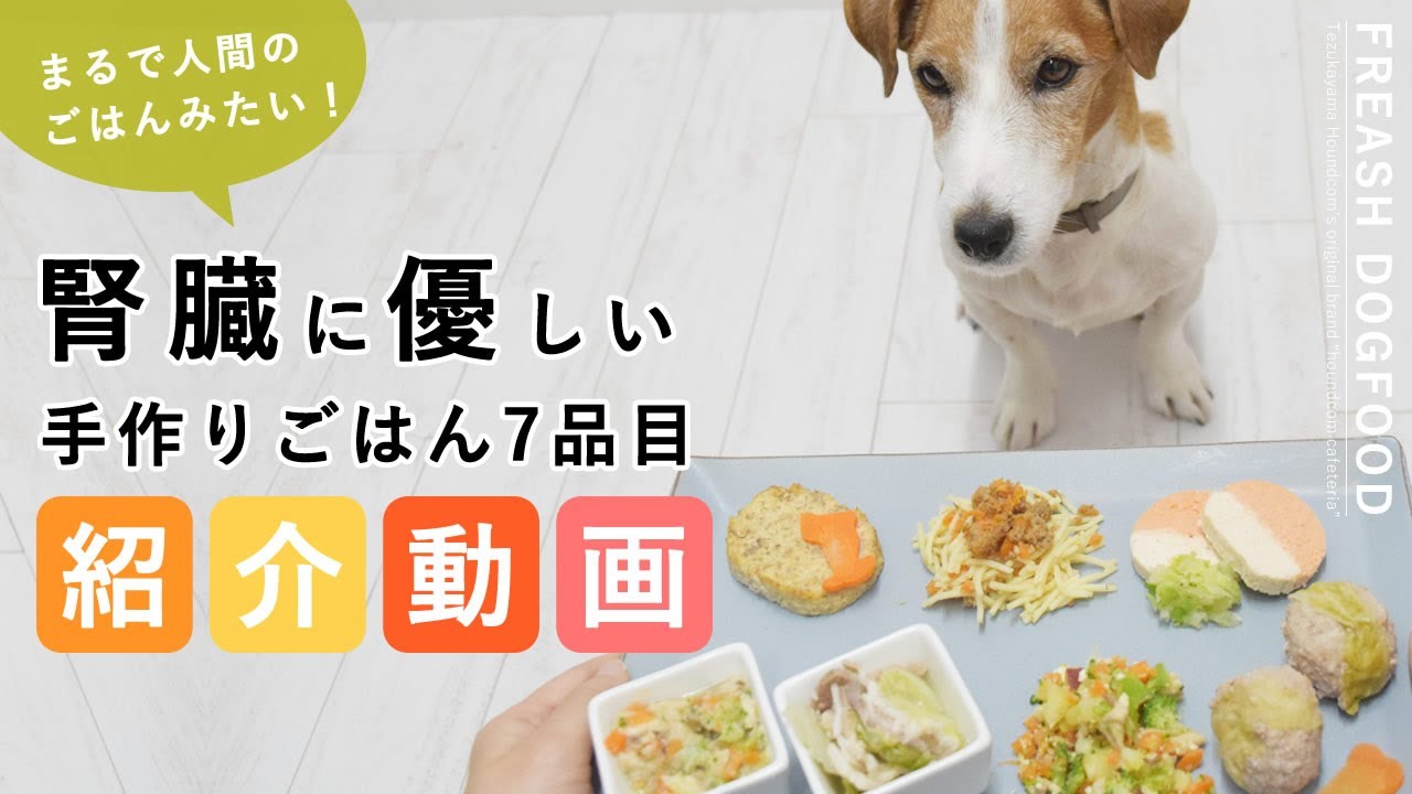 愛犬の為の手作りごはん 低リンで腎臓に優しい7品目Aセット【帝塚山