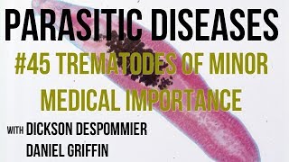 Parasitic Diseases Lectures #45: Trematodes of Minor Medical Importance