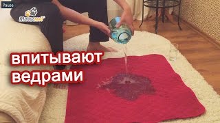 Пеленки для собак Талисмед впитывают ведрами!(Тест на впитываемость многоразовых пеленок для собак Талисмед. Это видео наглядно покажет Вам, почему пеле..., 2015-06-03T15:01:28.000Z)