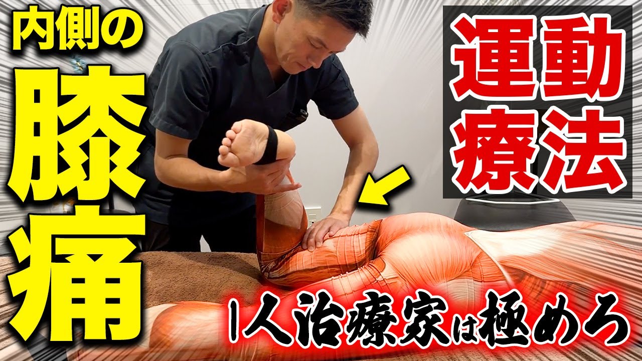 【1人治療家は絶対見て】膝の内側痛で狙うべきは腸頸靱帯！根本から改善して痛みの戻りを0にする運動療法を紹介します！